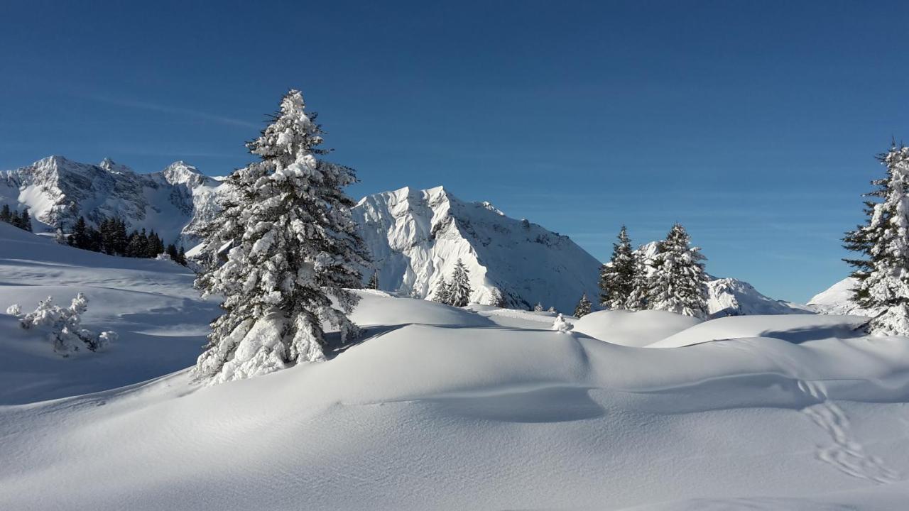 Landhaus Marion Holzgau Buitenkant foto